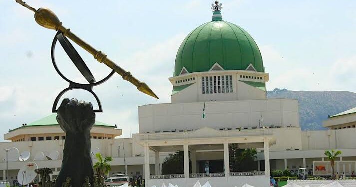 Will Independent Candidacy Bill secure the 10th National Assembly’s place in history?