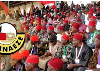 Rivers to produce next Ohanaeze President-General – NEC