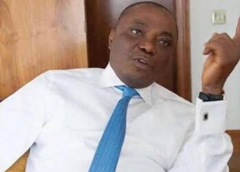Senator Nwaoboshi Faces Fresh Allegations of Land Grabbing In Ibusa, Ibuzor