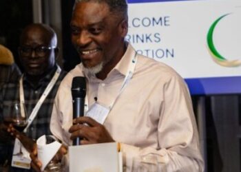 Africa requires $200bn yearly for energy, climate goals – NLNG