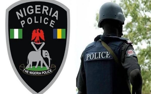 Police detain bandit’s kingpin, recover arms in Yobe