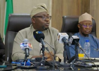 Protect national assets, power infrastructure – Adelabu urges Nigerians in New Year message