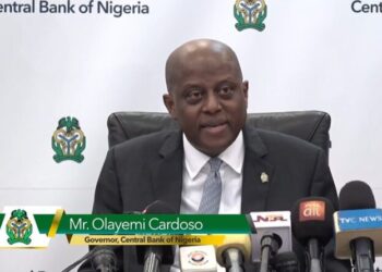 CBN’s policy interventions have moderated inflationary growth, says Cardoso