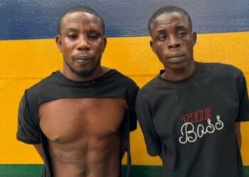 Police arrest 2 suspects for kidnapping retired AIG Odumosu’s wife