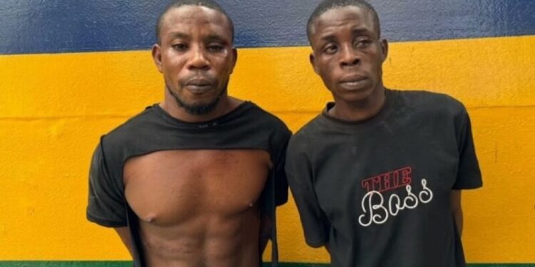 Police arrest 2 suspects for kidnapping retired AIG Odumosu’s wife