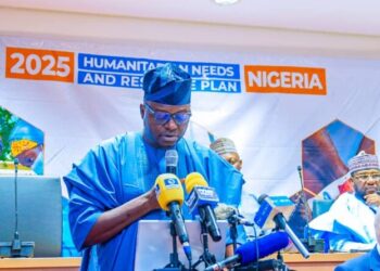 Minister uncovers plot by some Nigerian politicians to hijack conditional cash transfer