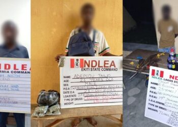 NDLEA intercepts UK-bound illicit drug consignment at Lagos airport, arrests 2