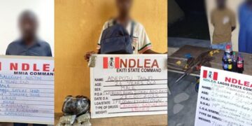 NDLEA intercepts UK-bound illicit drug consignment at Lagos airport, arrests 2