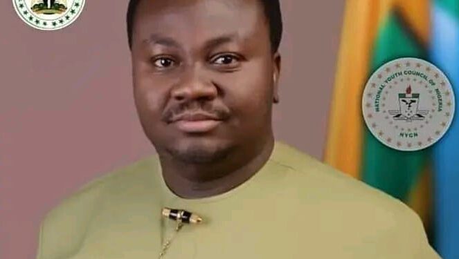 Prosperity Awaits: NYCN Declares 2025 the Year for Youth to Shine”
