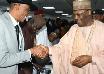 INEC announces date for FCT area council elections