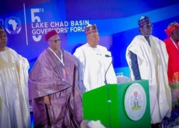 AfDB reaffirms $2bn Commitment to develop Lake Chad Basin