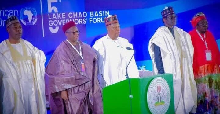 AfDB reaffirms $2bn Commitment to develop Lake Chad Basin