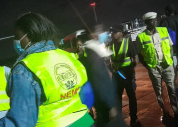 FG repatriates 390 Nigerian migrants from Niger Republic