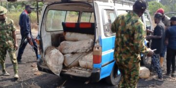 Nigerian Army arrests 15 suspects over oil theft in Niger Delta