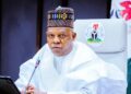 Nigerians will smile in 2025 – Shettima
