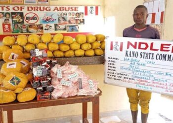 NDLEA seizes N1.1b worth of codeine shipment in Rivers