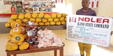 NDLEA seizes N1.1b worth of codeine shipment in Rivers