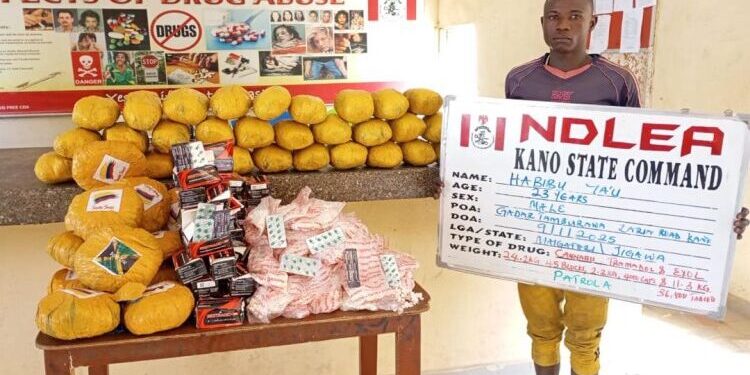 NDLEA seizes N1.1b worth of codeine shipment in Rivers