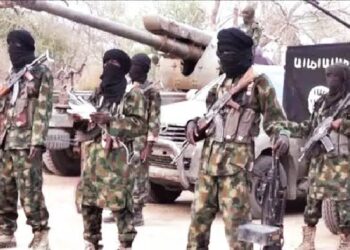 Two Officers Killed in Boko Haram Attack on Borno Police Division