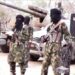Two Officers Killed in Boko Haram Attack on Borno Police Division