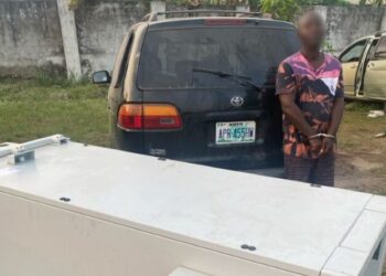 Police arrest suspected vandal of Airtel telecom equipment in Rivers