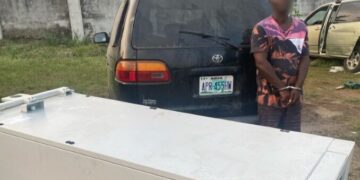 Police arrest suspected vandal of Airtel telecom equipment in Rivers