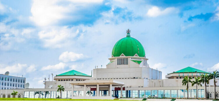 10th National Assembly and the state creation jinx