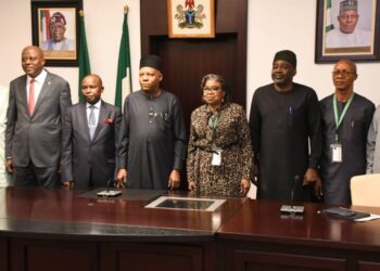 Nigeria must transform debt into economic asset – Shettima