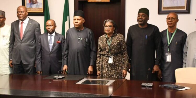 Nigeria must transform debt into economic asset – Shettima