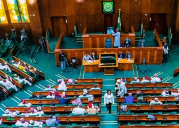 NASS Dashes Hopes For New States