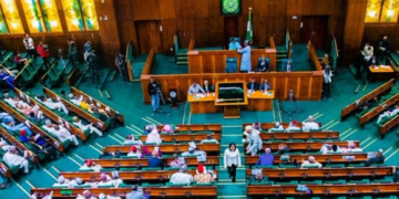 NASS Dashes Hopes For New States