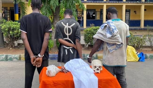 Police arrest 3 suspected ritualists with human skull in Imo