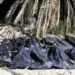 Bodies of 28 migrants found in mass grave in southern Libya