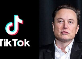 Elon Musk says no plans to acquire TikTok’s operations in U.S