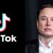Elon Musk says no plans to acquire TikTok’s operations in U.S