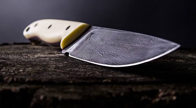 Teacher stabs 8-year old student to death