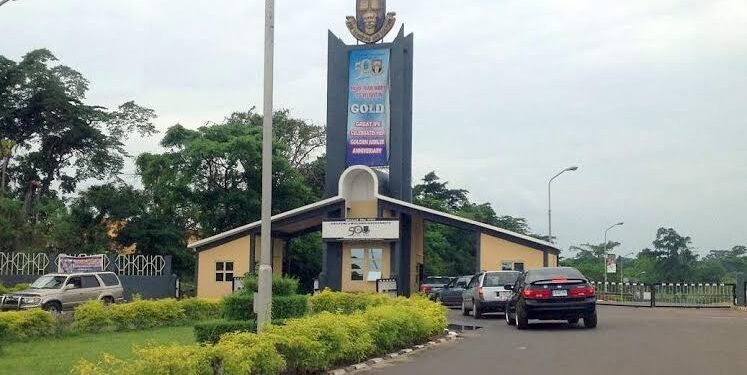 OAU to immortalise staff killed by lion