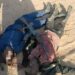 Police, hunters kill 2 bandits in Bauchi, recover weapons