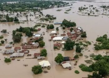 JUST-IN: 115 Bodies Recovered In Niger’s Flood Disaster