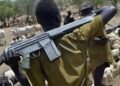 “Imo Community in Shock as Suspected Herdsmen Kidnap Two Siblings”
