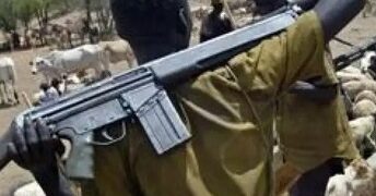 “Imo Community in Shock as Suspected Herdsmen Kidnap Two Siblings”