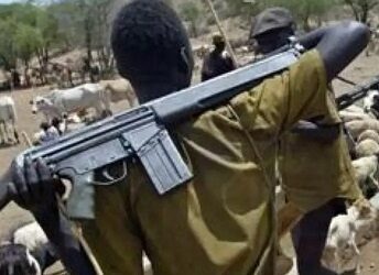“Imo Community in Shock as Suspected Herdsmen Kidnap Two Siblings”