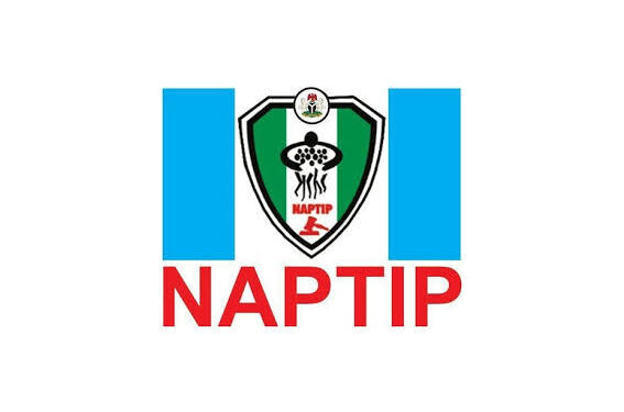 NAPTIP Rescues 19 Pregnant Girls from Trafficker in Abuja