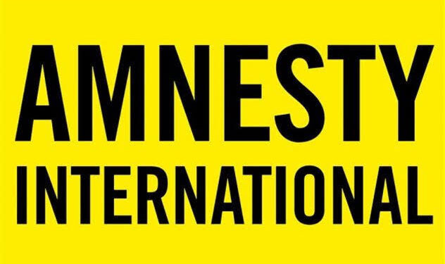 North Central Council Slams Amnesty Report On Killings In Nigeria