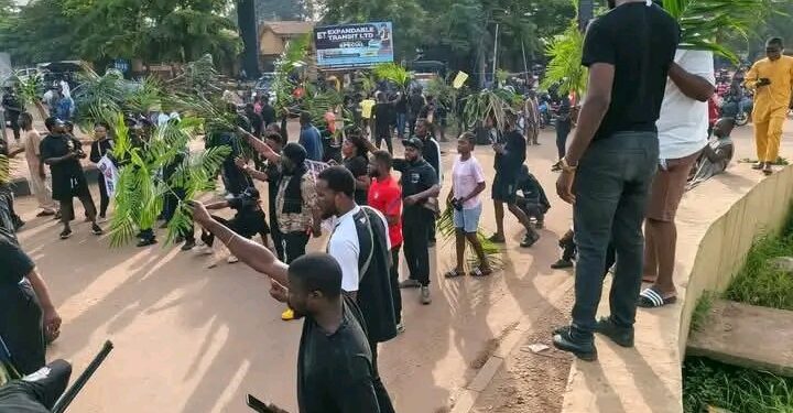 Benue Youths Stage Protest, Block Abuja-Makurdi Highway Over Rising Violence