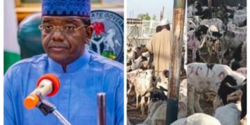 Eid al-Adha:State defence minister ,Matawalle donates 3,000 Rams to Zamafara