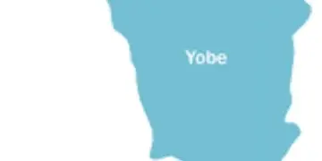 Explosion Kills 4, Injures 21 in Yobe Community