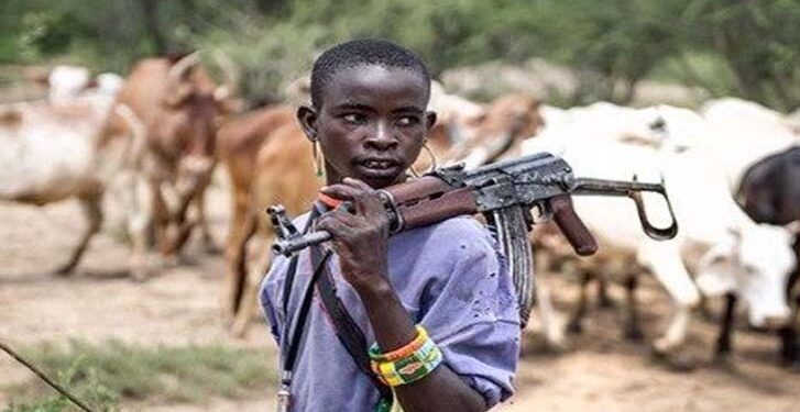 IDPs, soldiers, women, and children among 200 killed in fresh herders’ attacks on Benue communities
