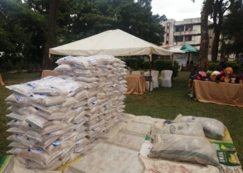 Widows Empowered at Int’l Widow’s Day Celebration