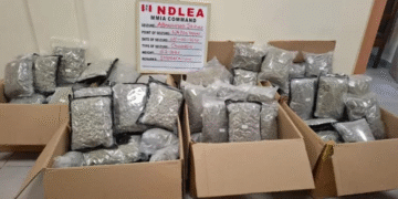 NDLEA Intercepts Illicit Drug Consignment Packaged as Green Tea at Lagos Airport
